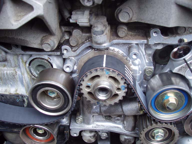 Timing Belt: Place the belt tensioner onto the belt to help hold it in place. It's easier if you don't install the tensioner yet. Note that your new belt will have lines that correspond to the timing marks.